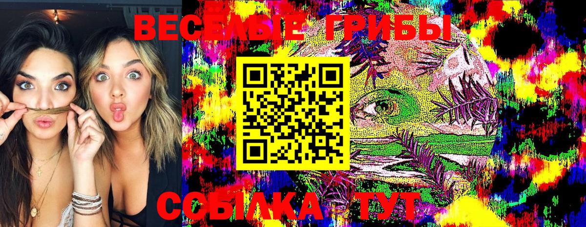 Псилоцибиновые грибы прущие грибы Сосновый Бор