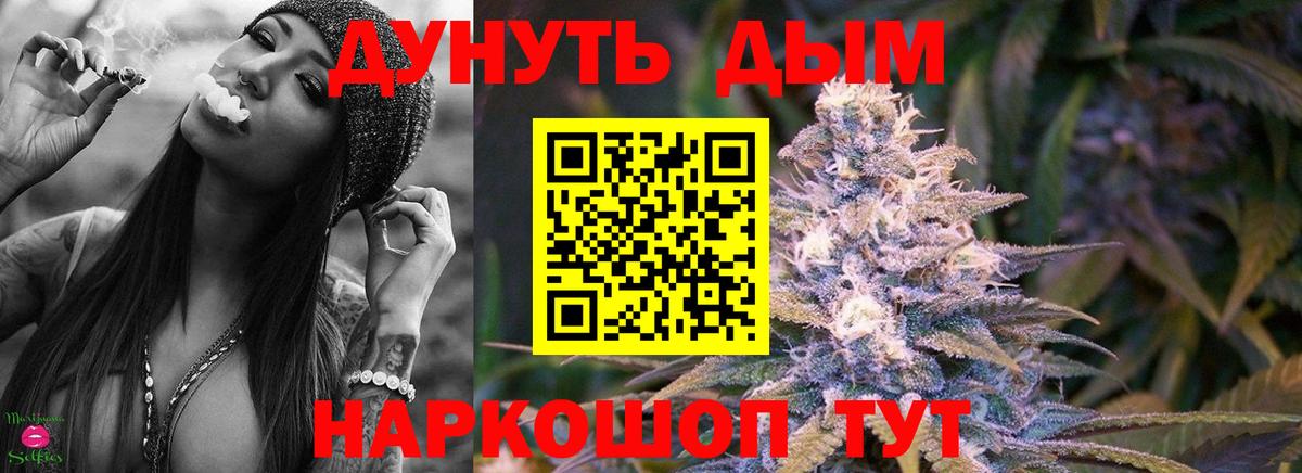 Бошки марихуана конопля Сосновый Бор